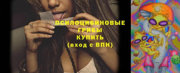 марки lsd Белокуриха