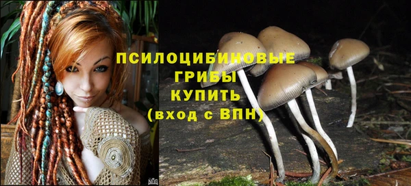 a pvp Беломорск
